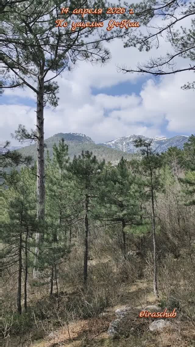 14 апреля 2026 г. По ущелью Уч-Кош #ялта #ялта2026 #учкош