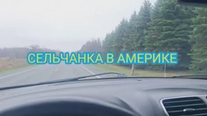 Сельчанка в Америке ВМЕСТО ДОРОГИ РЕКА Еле добралась до магазина