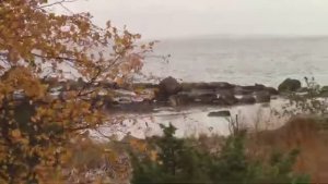 ПОЛНАЯ СЕТКА РЫБЫ! ВЫПУТЫВАЮ СРАЗУ И ЖДУ СЛЕДУЮЩУЮ ПАРТИЮ!