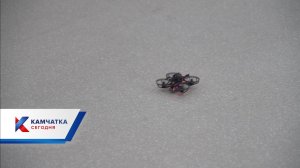 Центр Воин. Обучение студентов Камчатского сельскохозяйственного техникума операторам БПЛА