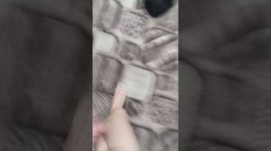 первая часть про то как и я готовлю рыжика ко ко сну