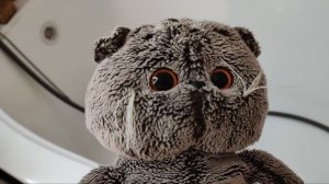 ПОСТРОИЛИ СВОЙ СПА??? :0