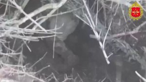 Боевая работа расчётов подразделений войск БПС