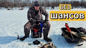 Зубастый беспредел. Как лишится топовых приманок. Щука выходит в полдень.