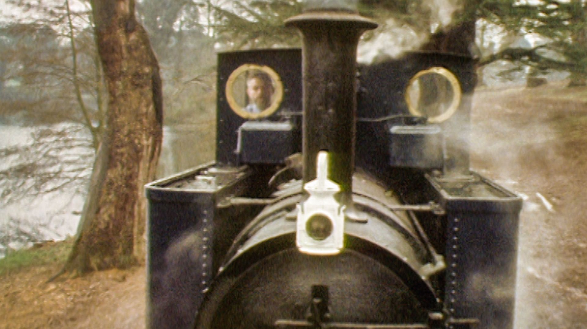 Bicton Woodland Railway