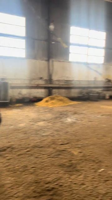 приколы на работе.mp4