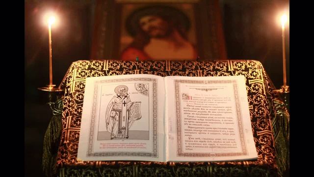 Радость моя Цвета Моканова