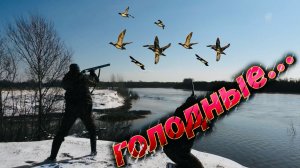 ГОЛОДНЫЕ!!! ШИКАРНОЕ ОТКРЫТИЕ ОХОТЫ. ПАДАЛИ КАМНЕМ НА ЛЁД.