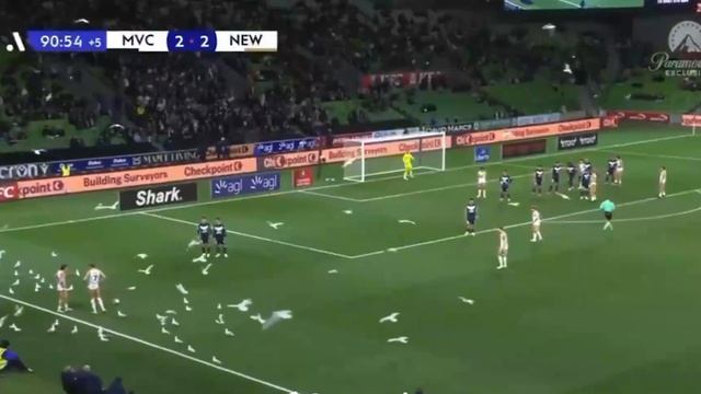 Чайки заполонили стадион в австралийском Мельбурне прямо во время футбольной игры. Матч, несмотря...