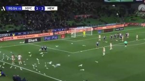 Чайки заполонили стадион в австралийском Мельбурне прямо во время футбольной игры. Матч, несмотря...