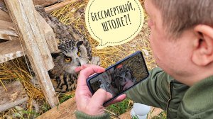 Егор ворвался в вольер к сове Ёлке! Артём выловил тазики с нимфеями, фазан опять забыл свою куру