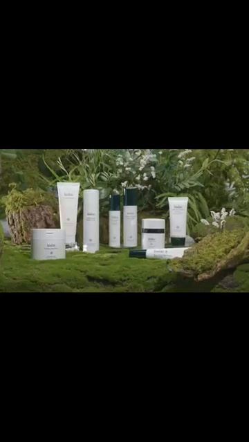 The Classeum новая сетевая компания из Южной Кореи.