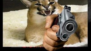 Песня Кейна, но он Шлёпа