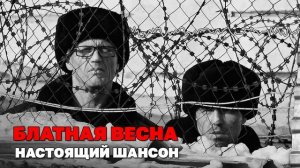 Блатная весна - Настоящий шансон @blatnoe_radio