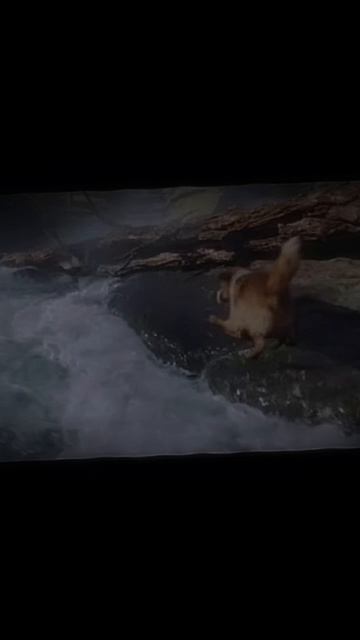 Обожаю фильм «Зов предков»