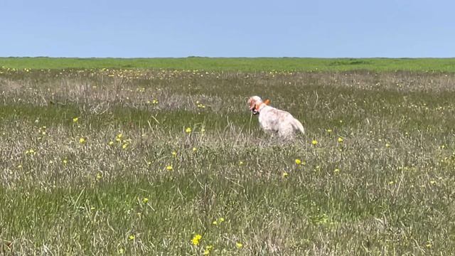 Федора. 17.04.26