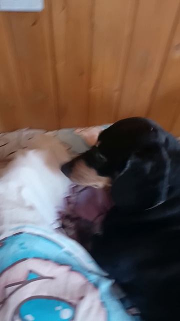 Пападевочки и СПОРТ