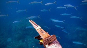 Подводная охота / Огромная стая рыб... удастся ли нам поймать крупную рыбу?!