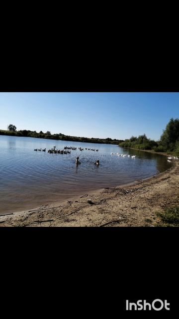 Как сладко быть мамой.