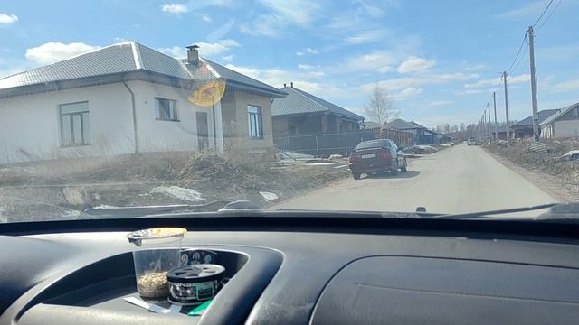 Новые поделки из ротанга.Моя кошечка. Взошли тюльпаны.