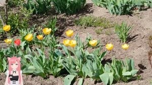 Прогулка весенняя и музыкальная! #весна #музыка