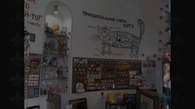 Путешествие в город кошек - Зеленоградск