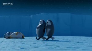 Морские Котики (SEALOOK) (60)