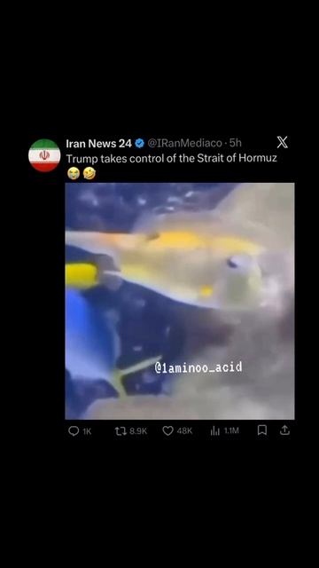 Трамп проверяет, надежно ли заблокирован Ормузский пролив