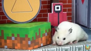 Хомячок убегает из ловушки голодных акул в водном лабиринте! часть 2