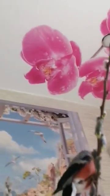 Завтракаю вместе со снегирями