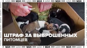 Штрафы за выброшенных животных ужесточили в России — Москва 24 | Контент