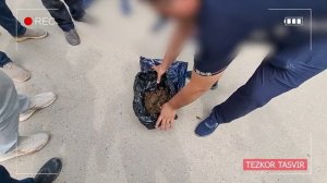 2 килограммдан ортиқ гашишни 17 минг АҚШ долларига сотаётган шахс қўлга олинди