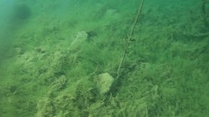 Дайвинг. Урал. Золотой Дельфин. Часть вторая.