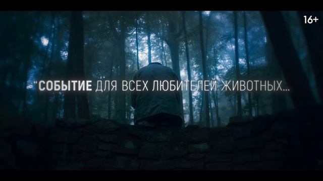 Глазами пса — Русский трейлер #2 Дубляж, 2025