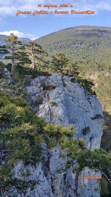 14 апреля 2026 г. Ущелье Уч-Кош с высоты Балан-Кая #ялта #ялта2026 #учкош #баланкая