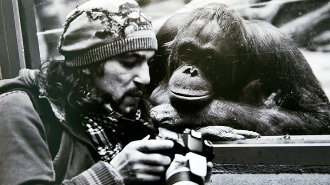 Камера мотор .Посвящается всем кто работает в кино.