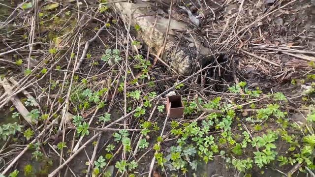 -8706397976054618868