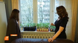 Магия зеленого царства