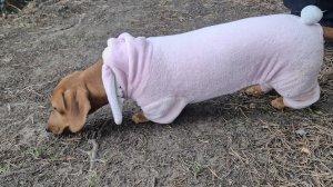 Рыбалка день второй👍