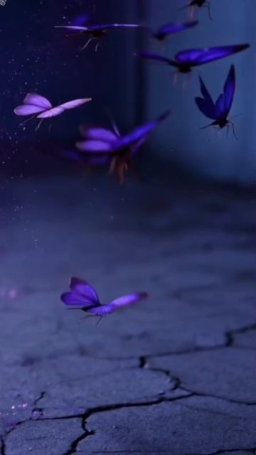 Աստծո նամակը քեզ համար այսօր