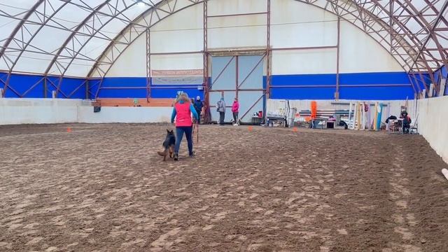 3.  выраженоперв БАЛЬДРСЕНС ИСИДИС Бальдрсенс Эрагон  Бальдрсенс Хелависа