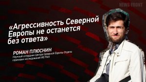"Агрессивность Северной Европы не останется без ответа" - Роман Плюснин