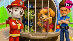 Щенячий патруль и Маршалл. Залипательное видео. Мультфильм для детей и малышей. Анимация 416