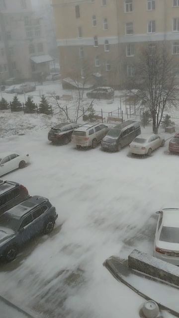 вот так погода!