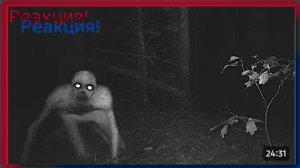 Реакция на криптиды, которых удалось заснять на камеру/ реакция на WTfakt