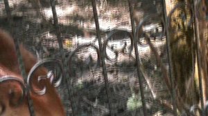 17)Б ПАРК ПОБЕДЫ ЗООПАРК