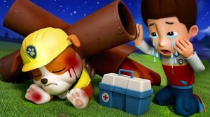 Пожалуйста, очнись, Рубл, не оставляй меня одного! Грустная история