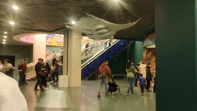 Не были в Москвариуме? А мы вам все покажем 😉