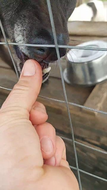 13 апреля 2026 г.