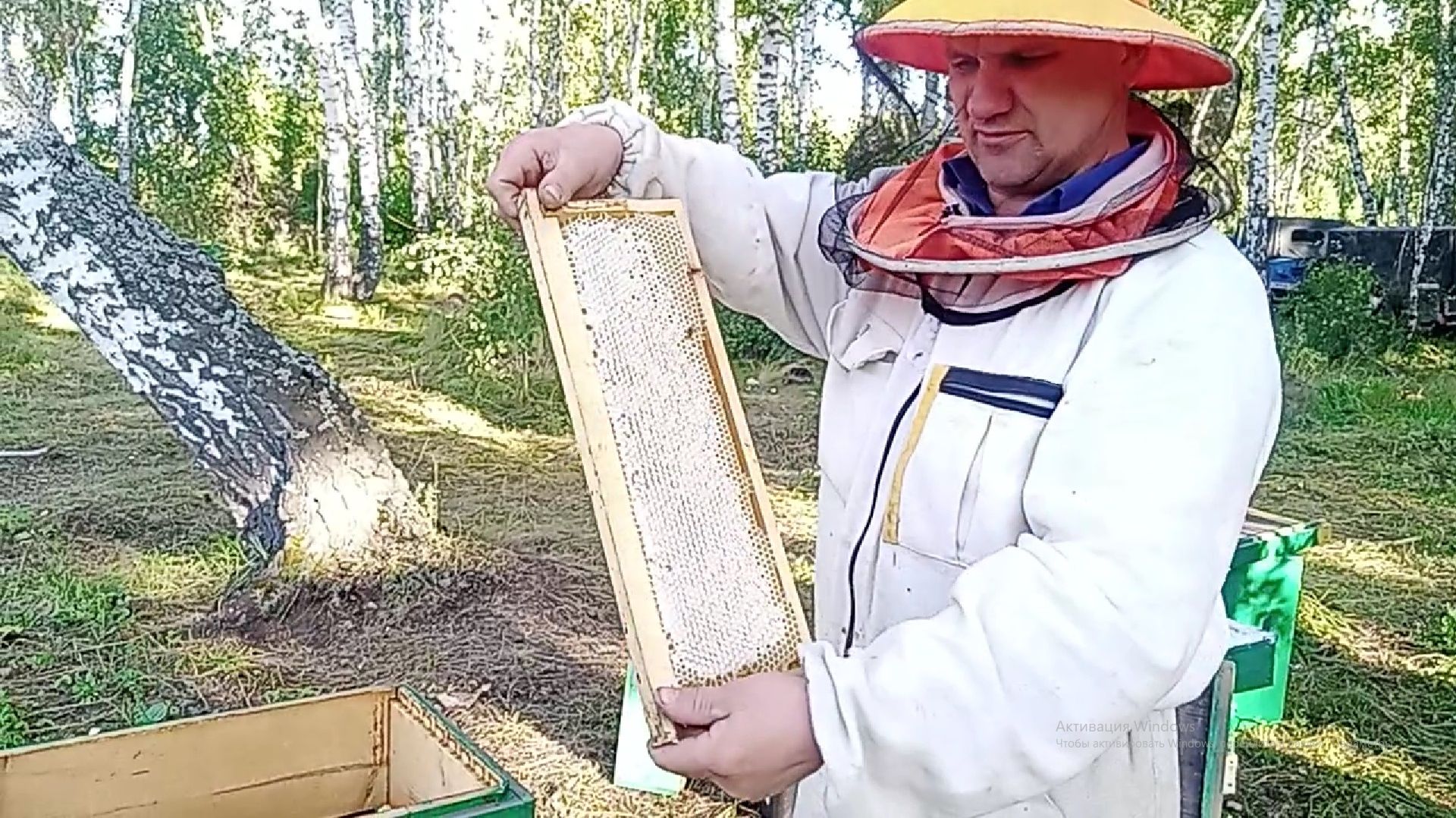 Гречиха 23 августа 25 год